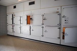 Storage doors in a morgue